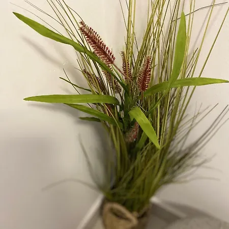 Apartment Casa Chia Brasov