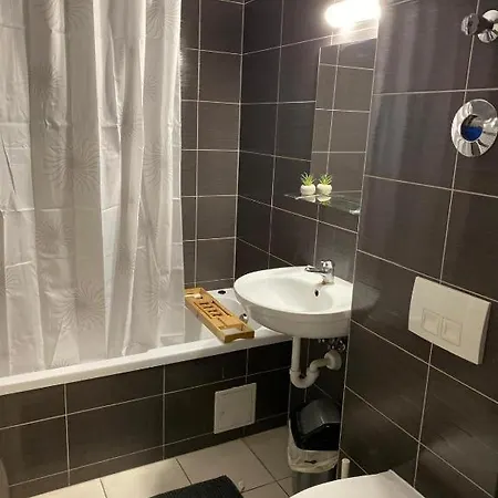 Casa Chia Apartment Brasov
