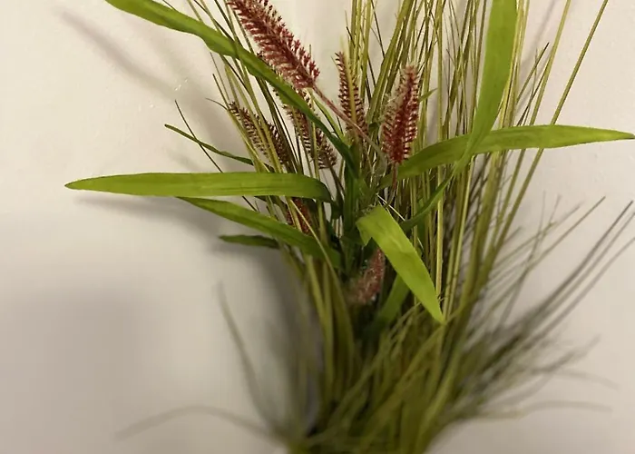 דירה Casa Chia בראשוב